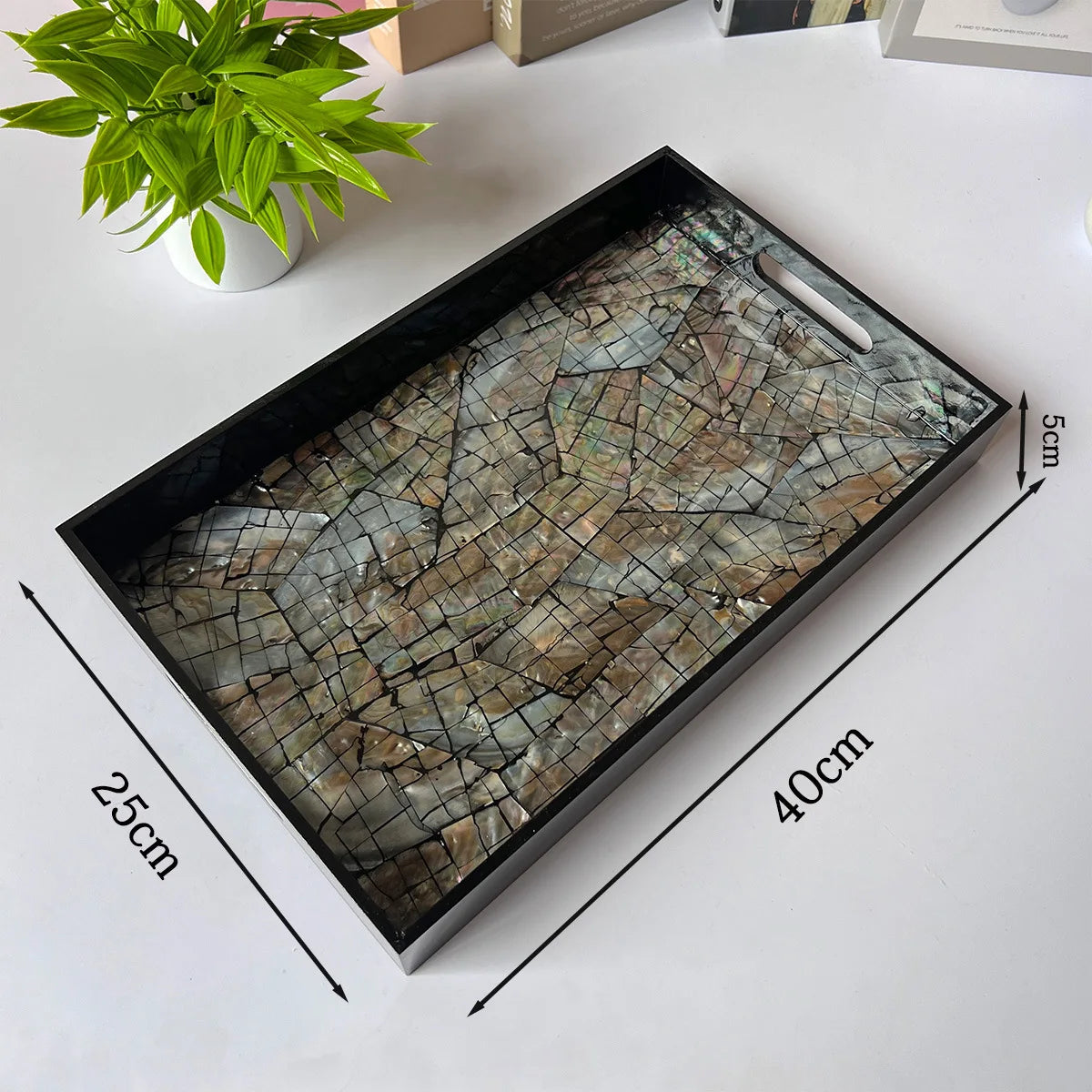 Light Luxury Natural Shells Household Storage Tray Rectangle Living Room Coffee Table Dim Sum Snack Storage for Household